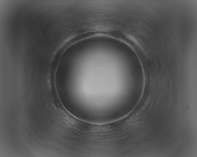 X0000070171307200605301315
