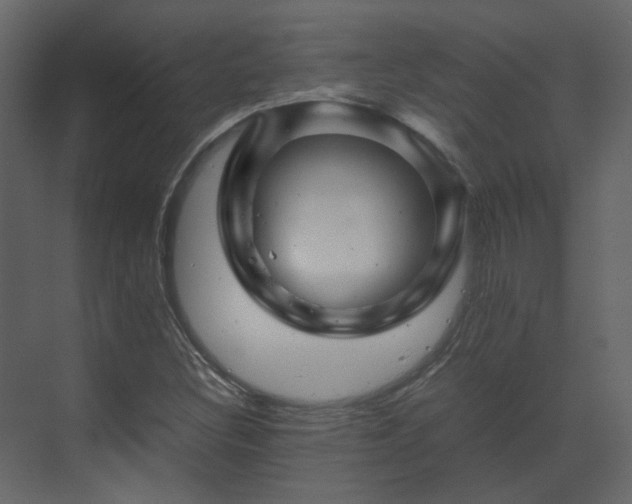 X0000070171308200605301315