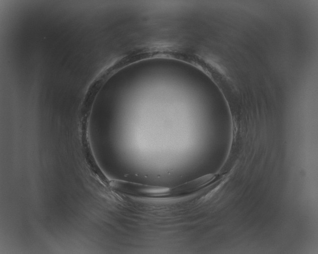 X0000070171309200605301315
