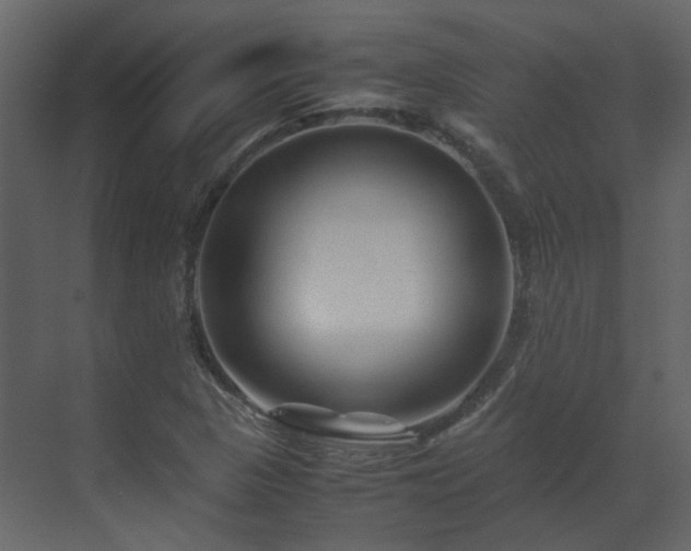 X0000070171313200605301315