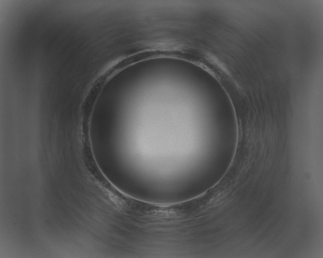 X0000070171315200605301315