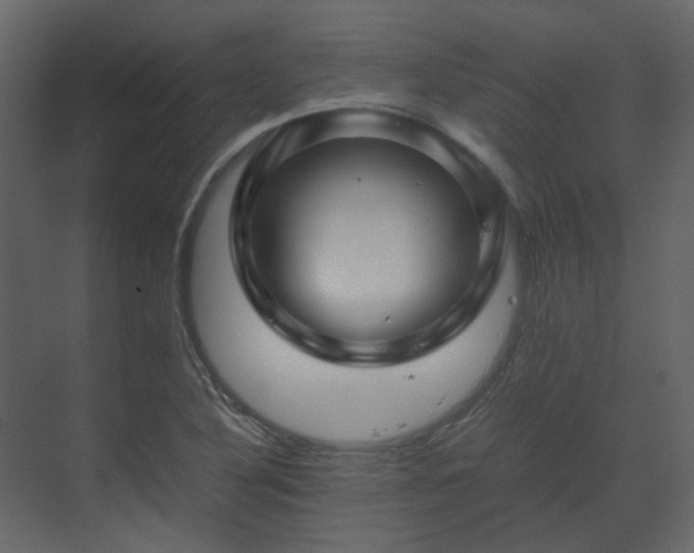 X0000070171316200605301315