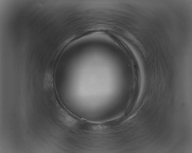 X0000070171321200605301315