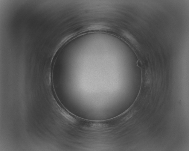 X0000070171322200605301315