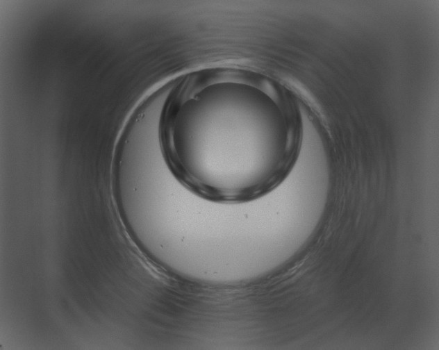 X0000070171324200605301315