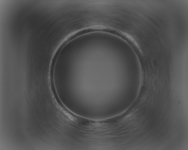 X0000070171327200605301315