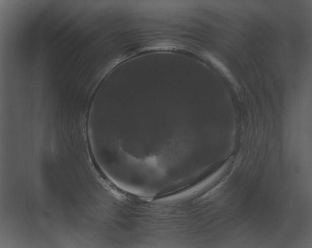 X0000070171329200605301315