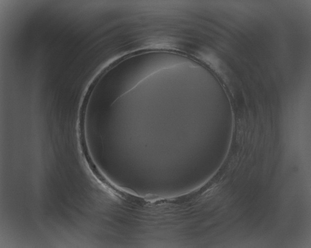 X0000070171331200605301315