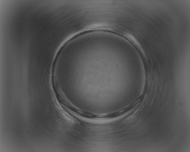 X0000070171336200605301315