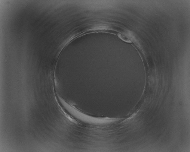 X0000070171337200605301315