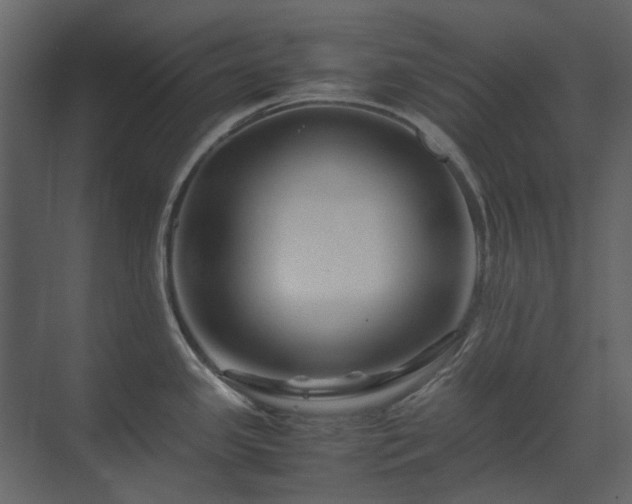 X0000070171341200605301315