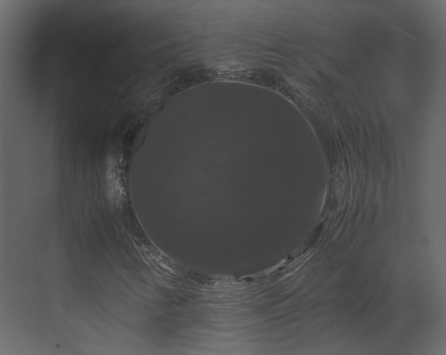X0000070171346200605301315