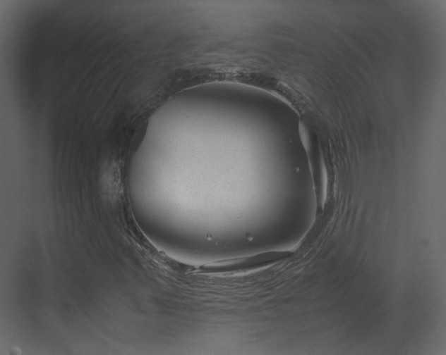 X0000070171347200605301315