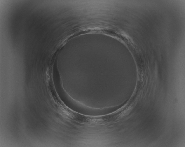 X0000070171353200605301315