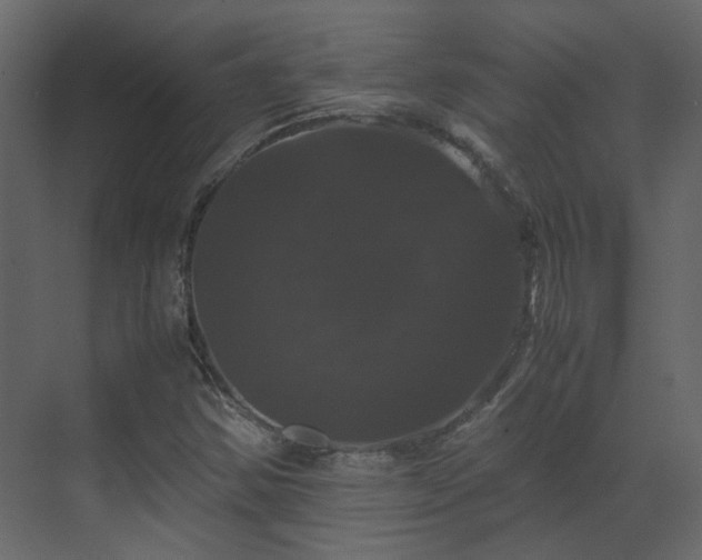 X0000070171354200605301315