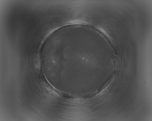 X0000070171358200605301314