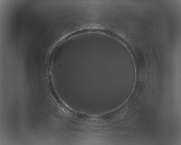 X0000070171359200605301314