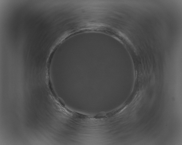 X0000070171362200605301314