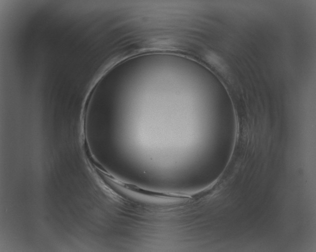 X0000070171370200605301314