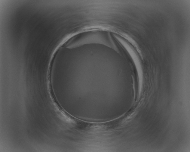 X0000070171373200605301314