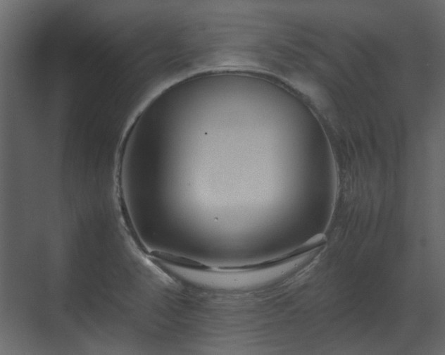 X0000070171374200605301314