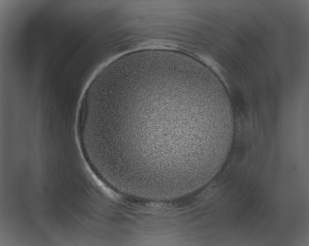 X0000070171379200605301314
