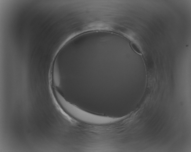 X0000070171383200605301314