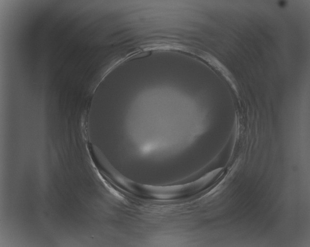 X0000070171385200605301314