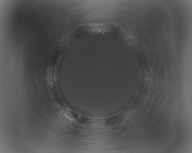 X0000070171394200605301313