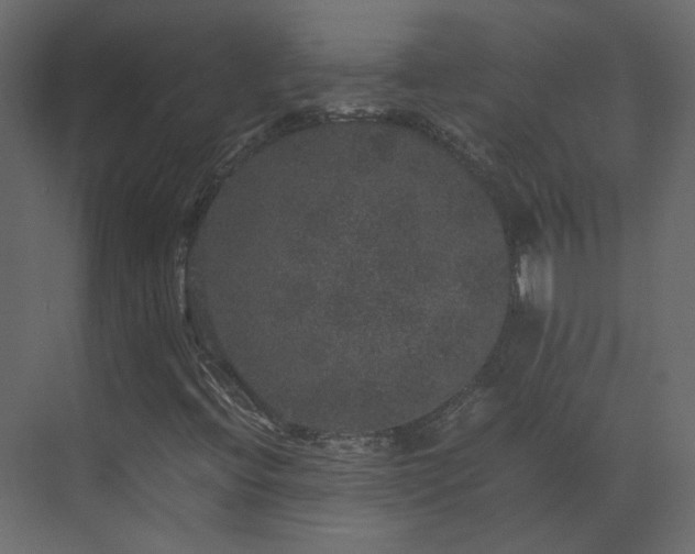 X0000070171396200605301313