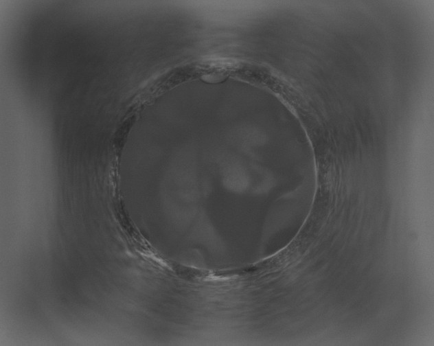 X0000070171397200605301313