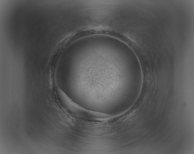 X0000070171398200605301313