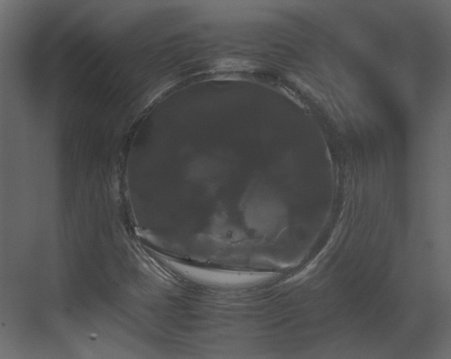 X0000070171401200605301313