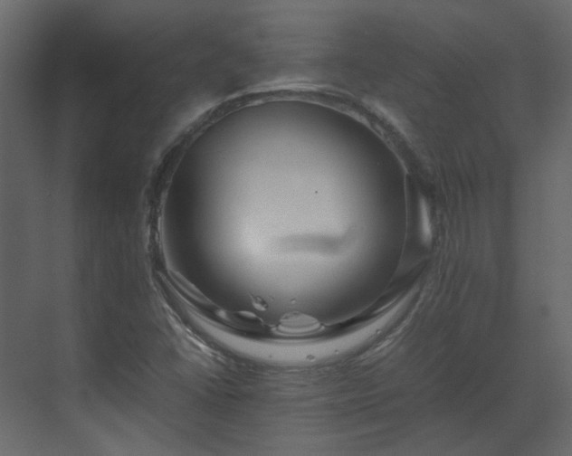 X0000070171406200605301313
