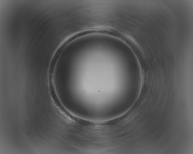 X0000070171412200605301313