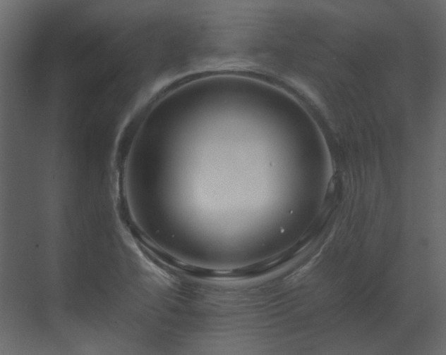 X0000070171414200605301313