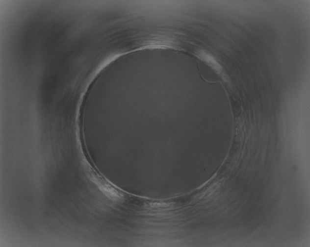 X0000070171427200605301314