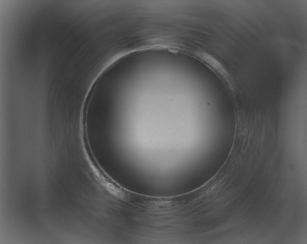 X0000070171431200605301314