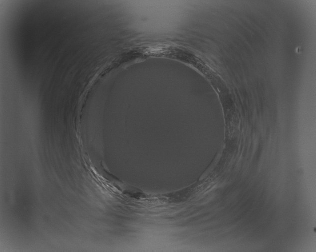 X0000070171441200605301313