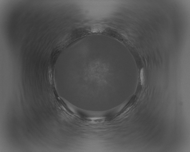 X0000070171443200605301313