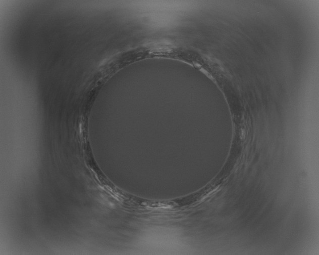 X0000070171445200605301313