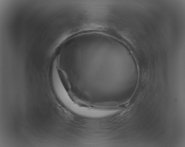 X0000070171455200605301313