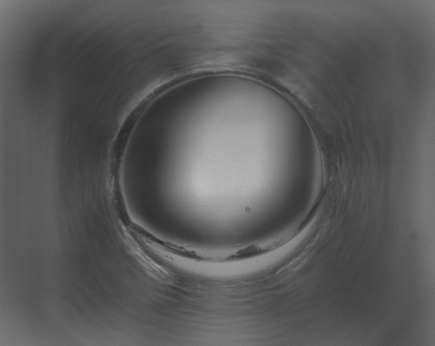 X0000070171458200605301313