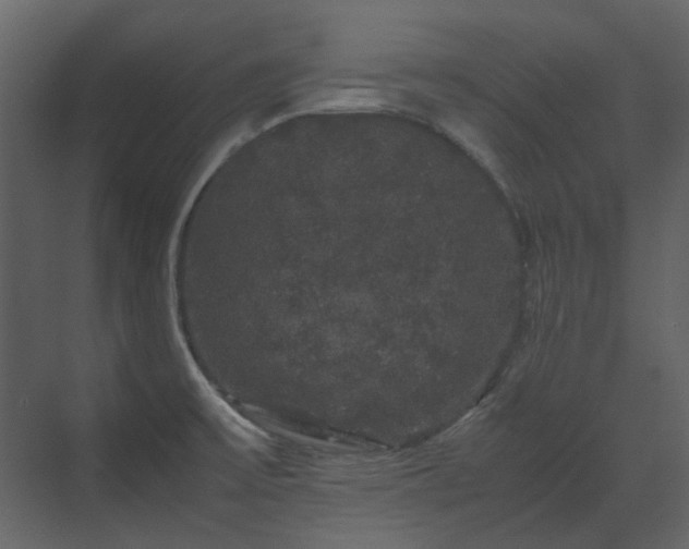 X0000070171475200605301312