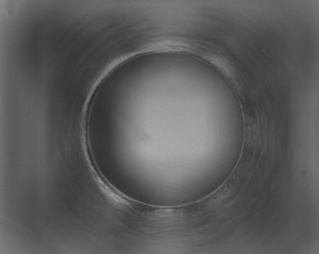 X0000070171478200605301312