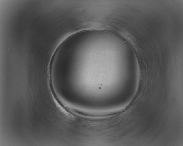 X0000070171479200605301312