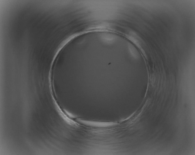 X0000070171482200605301312