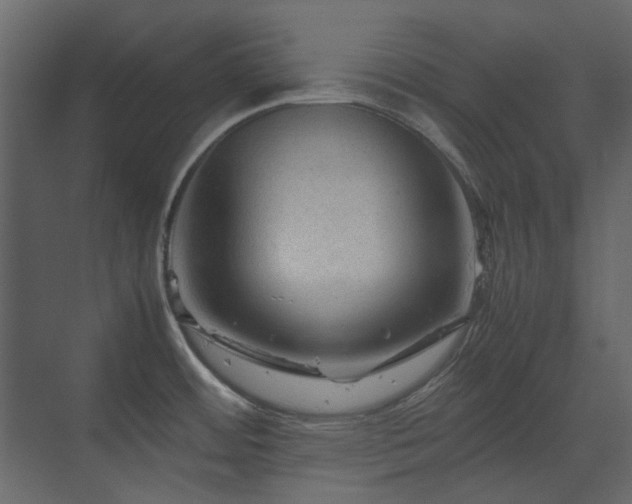 X0000070171484200605301312