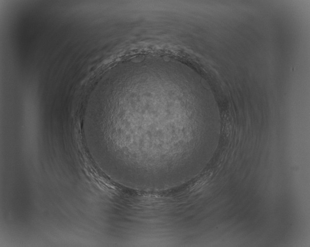 X0000070171489200605301311