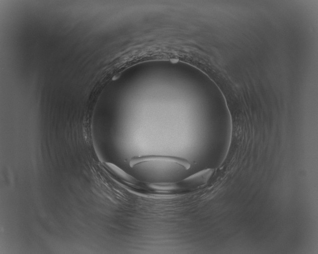 X0000070171490200605301311